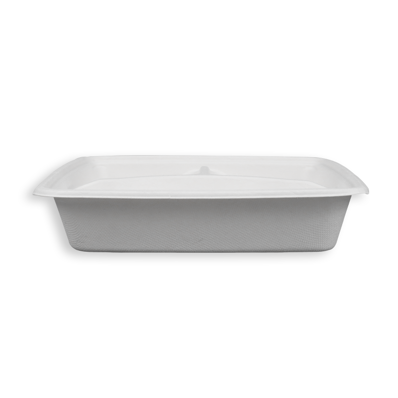 9'' Biodegradable Sugarcane Bagasse 3 Compartment Square Trays