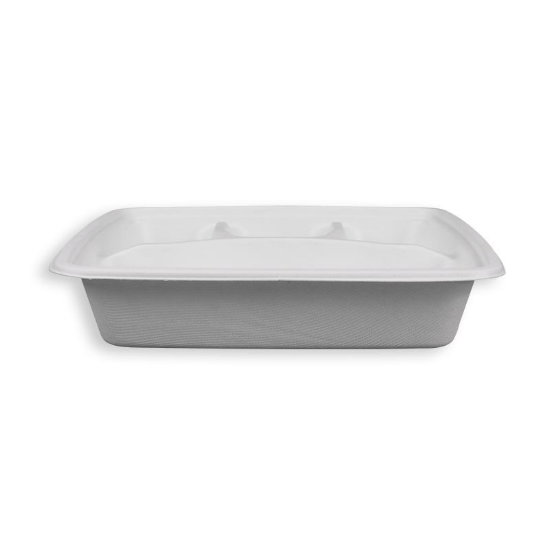 9'' Biodegradable Sugarcane Bagasse 4 Compartment Square Trays