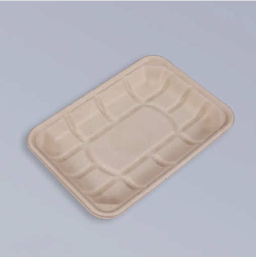 Environmentally Friendly Biodegradable Bagasse Food Containers