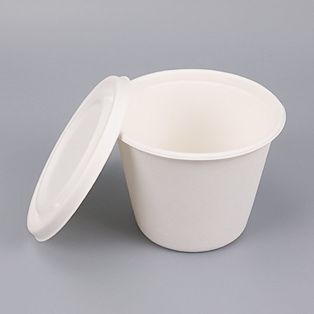 Bagasse Cups & Accessories