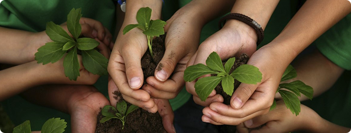 Support Children in Poverty