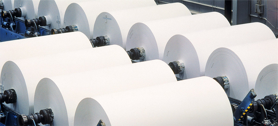 Wood Pulp Paper