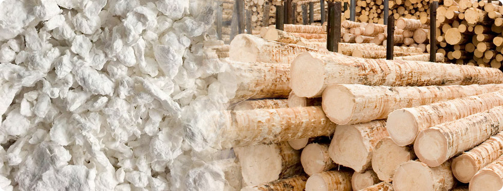 Wood Pulp Paper