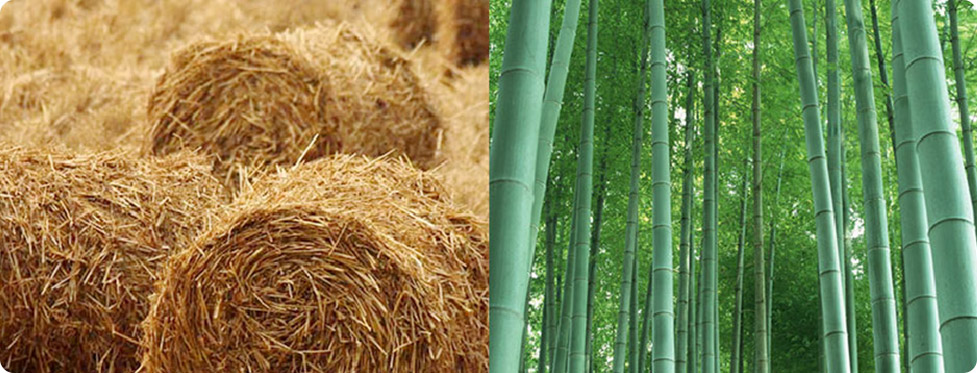 Bamboo Pulp Paper