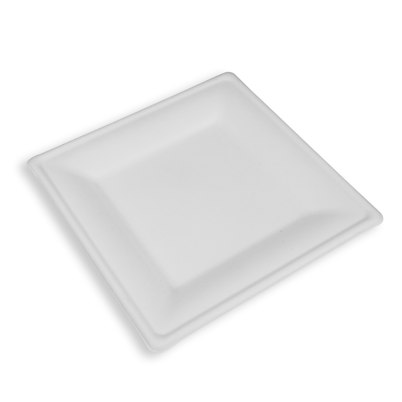 10'' Biodegradable Sugarcane Bagasse Square Plates