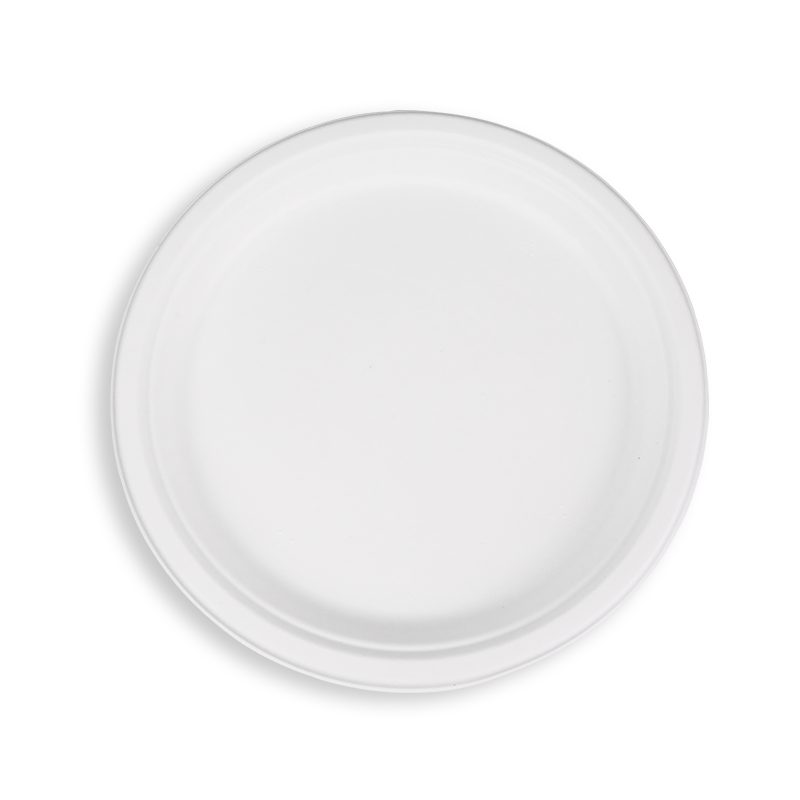 10'' Biodegradable Sugarcane Bagasse Round Plates
