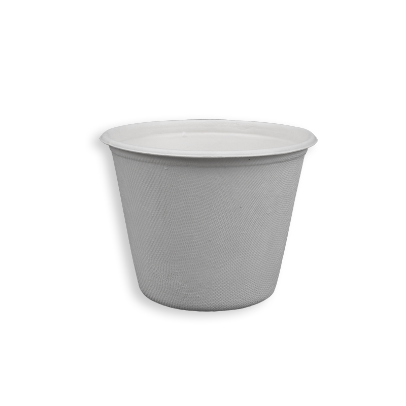 16oz Biodegradable Sugarcane Bagasse Cups