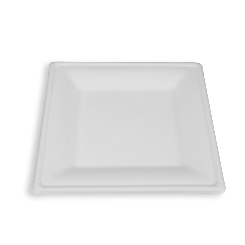 10'' Biodegradable Sugarcane Bagasse Square Plates
