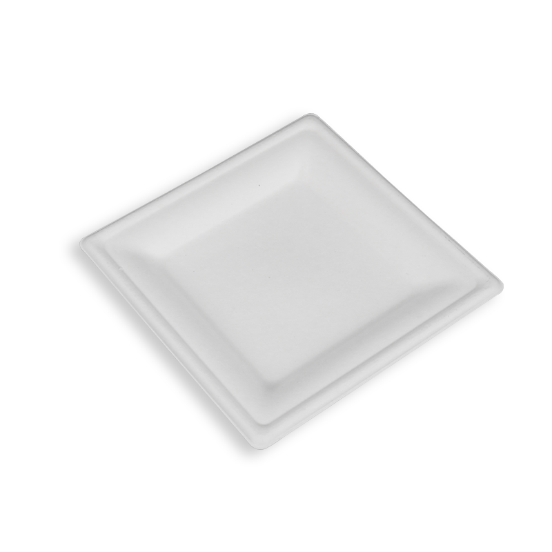 6'' Biodegradable Sugarcane Bagasse Square Plates