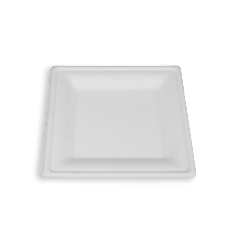 8'' Biodegradable Sugarcane Bagasse Square Plates