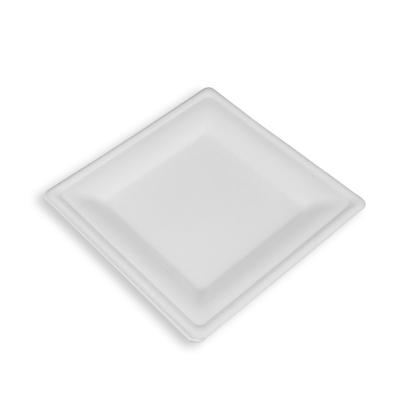 8'' Biodegradable Sugarcane Bagasse Square Plates