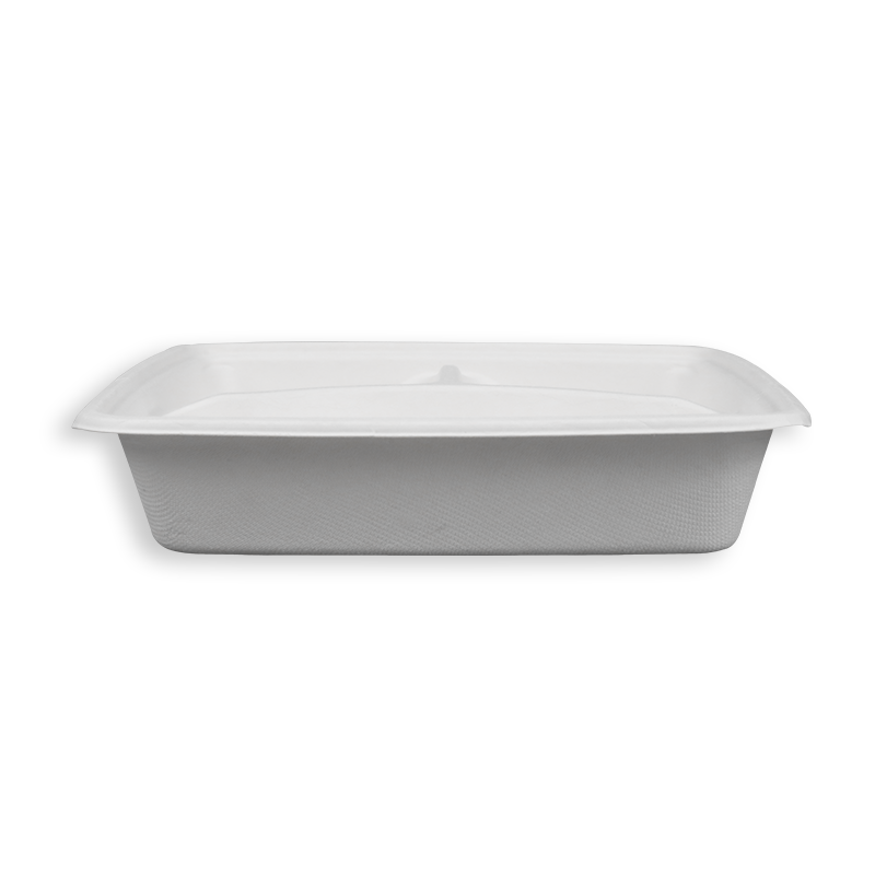 9'' Biodegradable Sugarcane Bagasse 3 Compartment Square Trays