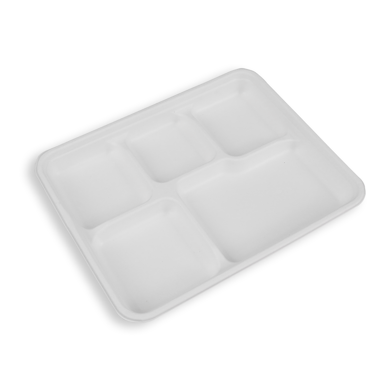10.2*8.3'' Biodegradable Sugarcane Bagasse 5 Compartment Long Trays