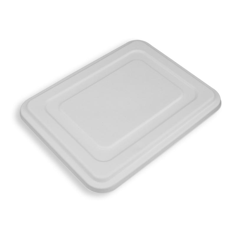 11.1*8.6'' Biodegradable Sugarcane Bagasse 5 Compartment Long Trays