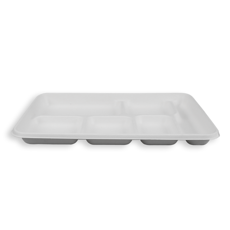 12.6*8.6'' Biodegradable Sugarcane Bagasse 6 Compartment Long Trays