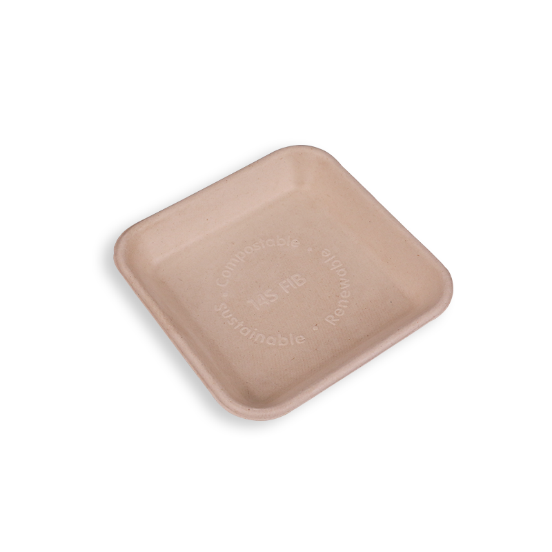6'' Biodegradable Sugarcane Bagasse Square Trays