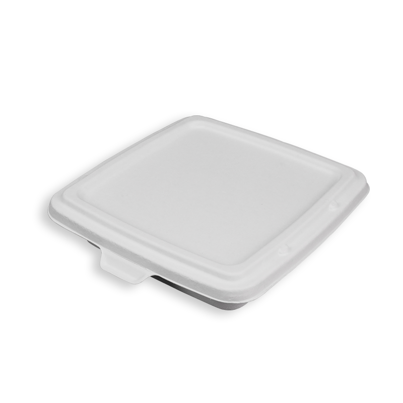 9'' Biodegradable Sugarcane Bagasse Square Trays