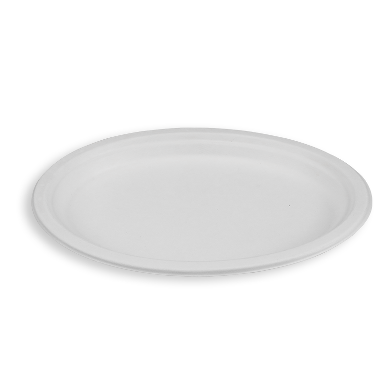 10'' Biodegradable Sugarcane Bagasse Oval Plates