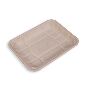 Are Bagasse Trays Good Choice for Food Packaging?