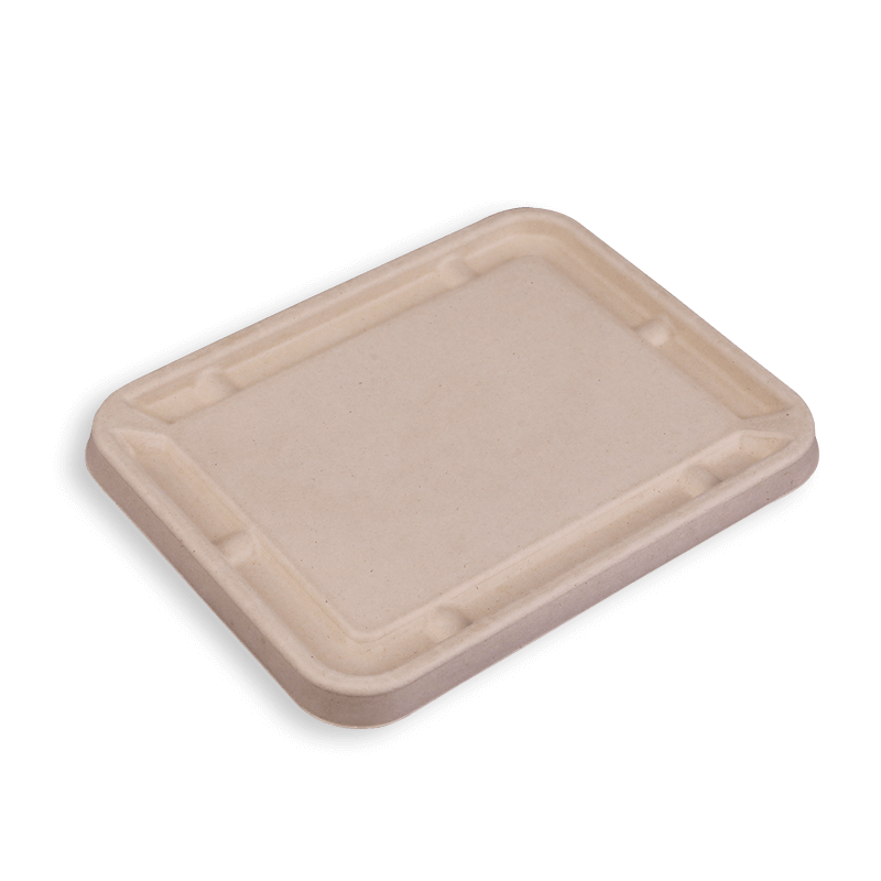 1200ml Biodegradable Sugarcane Bagasse Long Trays