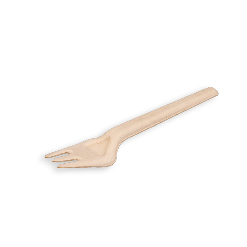 Biodegradable Sugarcane Bagasse s