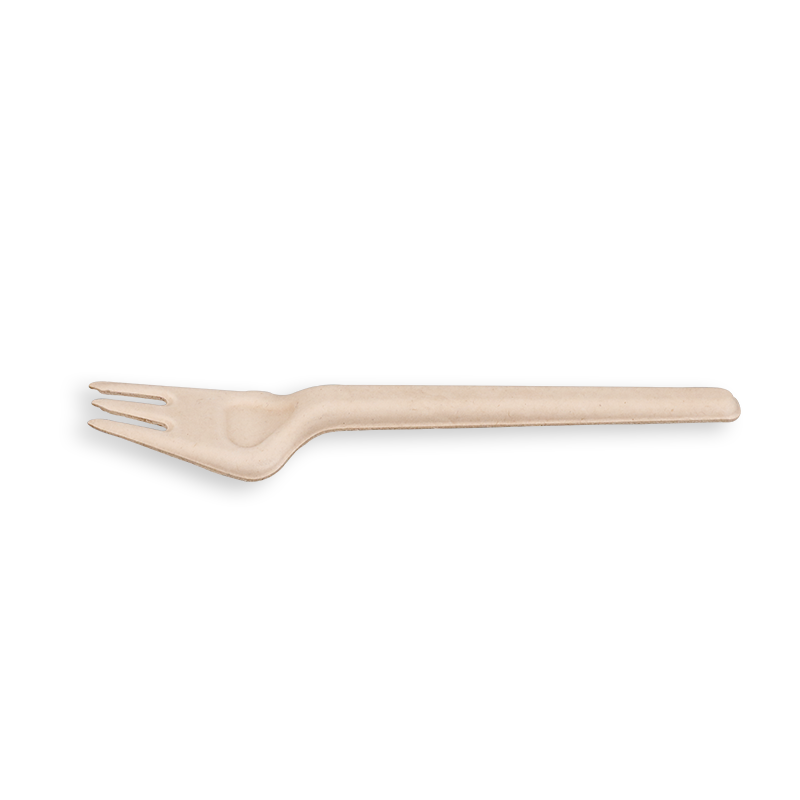 Biodegradable Sugarcane Bagasse s