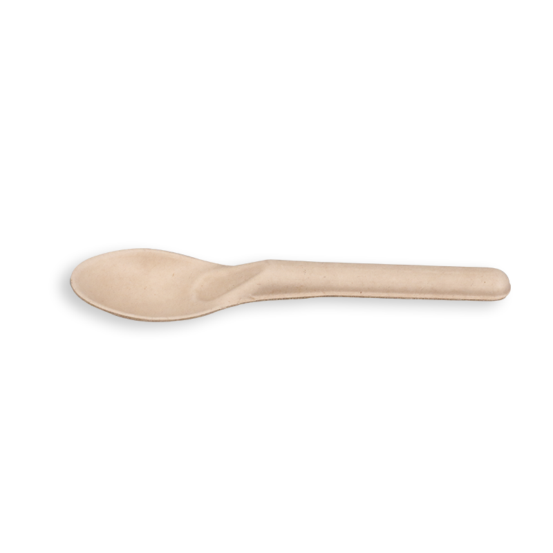 Biodegradable Sugarcane Bagasse Spoons