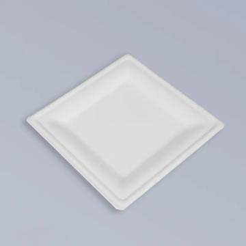 Bagasse square plates - A green alternative to disposable dinnerware