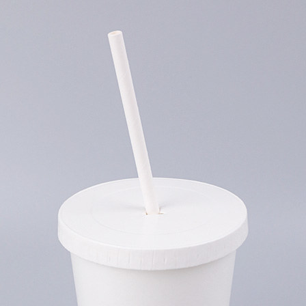 Paper Straws