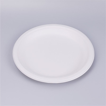 Biodegradable Bagasse Plates