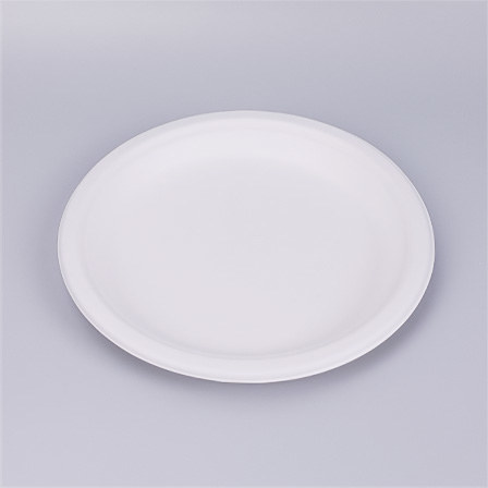 Bagasse Plates