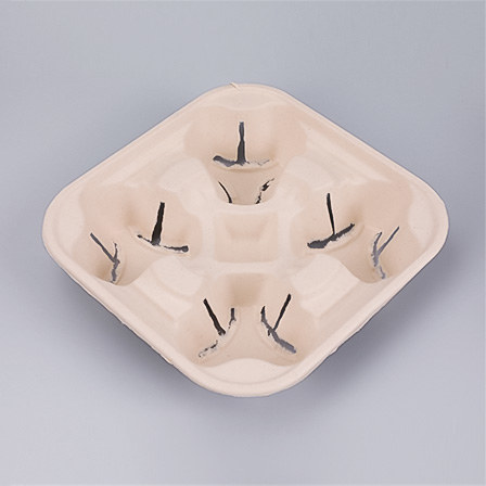 Biodegradable Bagasse Cups & Accessories
