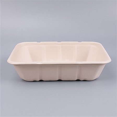 Bagasse Trays