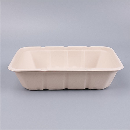 Biodegradable Bagasse Trays