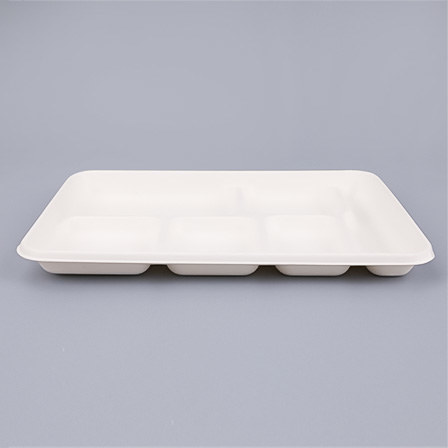 Bagasse Trays