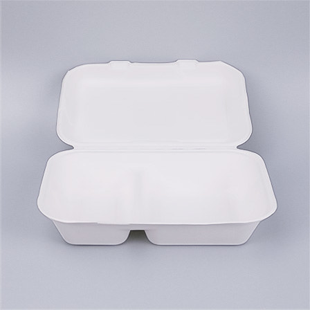 Bagasse Food Containers