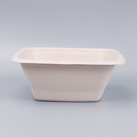 Bagasse Packaging